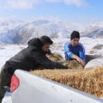 Yaban Hayvanlari Icin Yem Birakma Calismalari Devam Ediyor 3