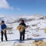 Yaban Hayvanlari Icin Yem Birakma Calismalari Devam Ediyor 5