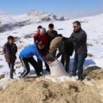 Yaban Hayvanlari Icin Yem Birakma Calismalari Devam Ediyor 6